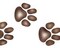 Tiger Paws Wall Stencil | 1516 by Designer Stencils | Animal & Nature Stencils | Reusable Art Craft Stencils for Painting on Walls, Canvas, Wood | Reusable Plastic Paint Stencil for Home Makeover | Easy to Use & Clean Art Stencil